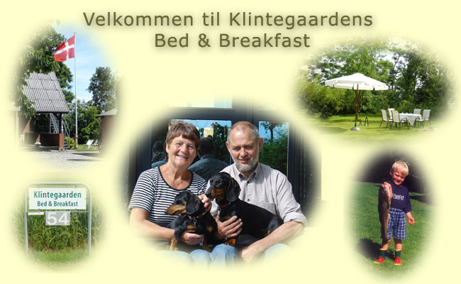 mynte nederlag Åben Velkommen til Klintegaardens Bed & Breakfast